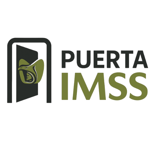 Acceso a servicios del IMSS